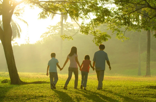 Long-Distance Caregiving: Mission (Im)Possible